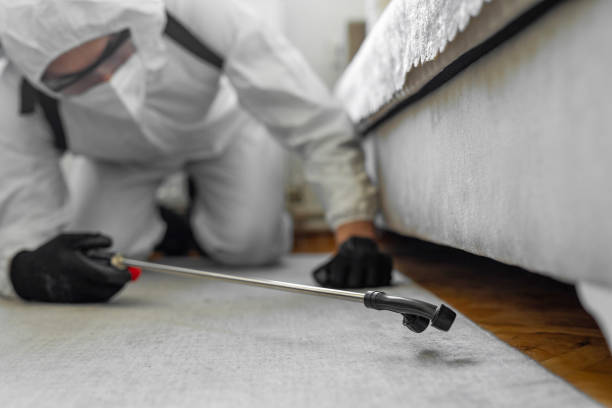 Professional Pest Control technician working in Dodge County County, GA